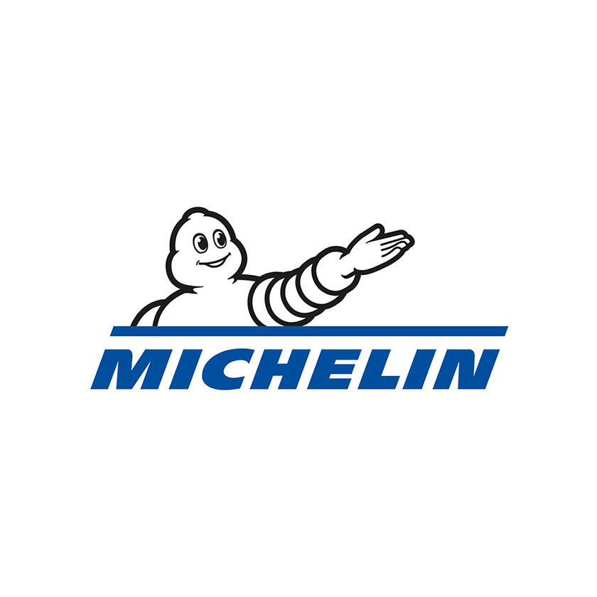 Heavy-Duty Truck Michelin Tires