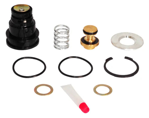 PURGE VALVE KIT